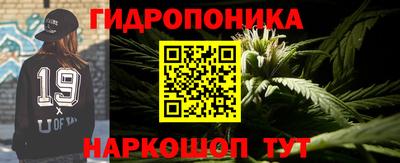 ГАЛЛЮЦИНОГЕННЫЕ ГРИБЫ Пугачёв