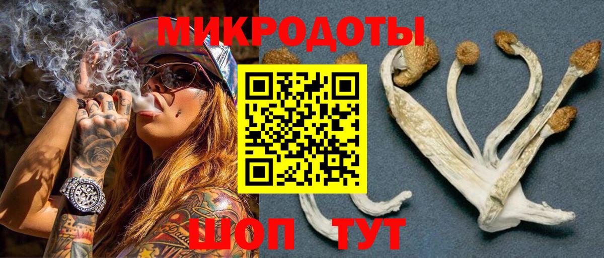 где найти   Вход с VPN  Ростов Великий  Галлюциногенные грибы Magic Shrooms  Псилоцибиновые грибы Psilocybine cubensis 